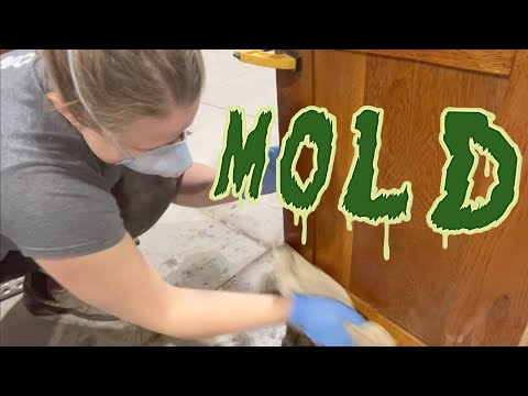 How to Remove Mold from Furniture