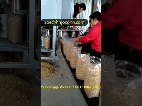 Mushroom culture medium punch bagging machine/Mushroom bag stamping filling machine