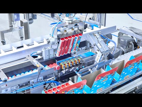 Fully-automated Packaging Line Loading Tubes into Cartons