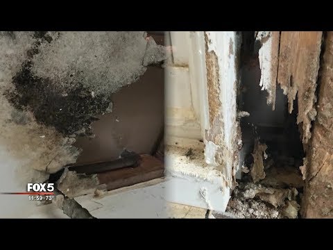 I-Team: &#039;Newly-renovated&#039; House Turns Out To Be Mold House