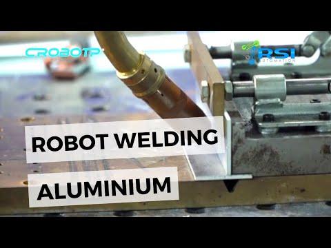 Asian famous Industrial Robot