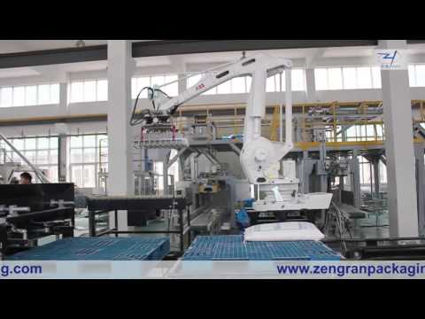 Automatic Packing And Palletizing Line—AnHui ZengRan