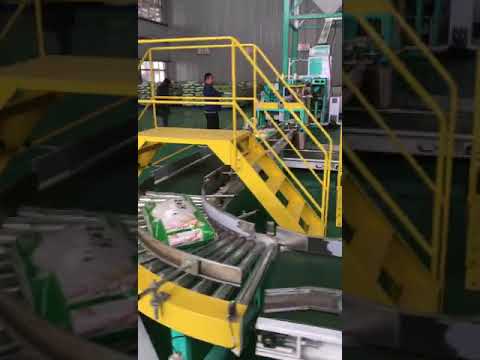 JIALONG RICE FULLY AUTO WEIGHING &amp; PACKING PALLETIZING LINE