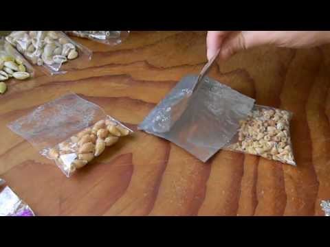 Sealing bags with an iron