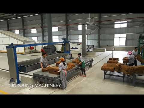 SINYOUNG rubber auto packing line