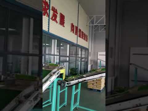 Automatic Rice Bagging Machine &amp; Truck loading