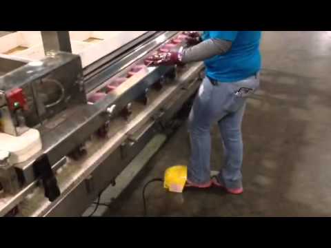 FASprint Grape Application- Automated Packaging Systems