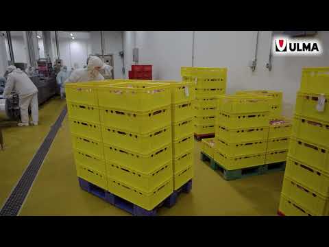 Automated packaging lines in Coral LLC, one of the largest meat producers in Russia