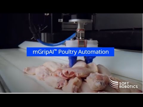 mGripAI Poultry Automation