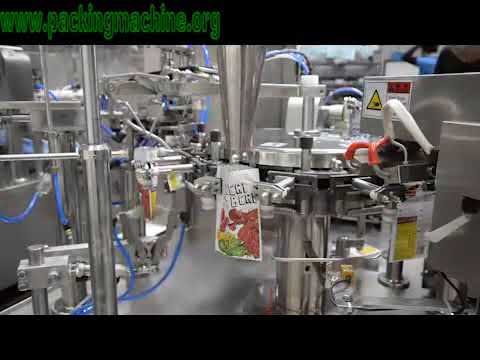 Rotary Pouch Packaging Machine with Horizontal Bag Feeding Device