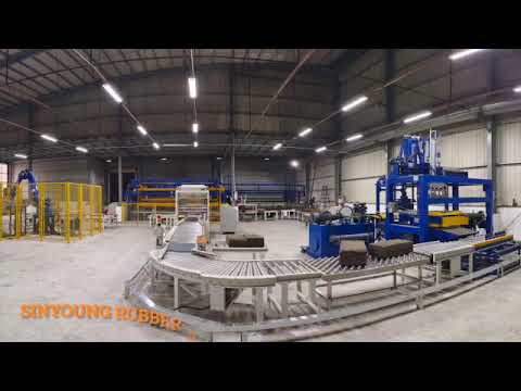 SINYOUNG TSR20 auto packing line demonstration part 1