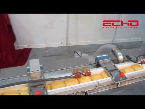 ECHO machinery Horizontal Flow Wrapping bread Packing Machine 660