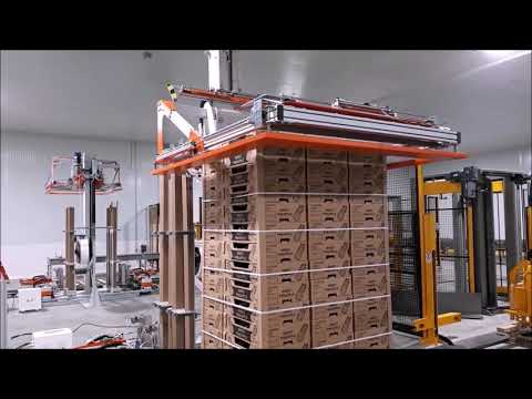 CLIENT: FYFFES - CUSTOMISED STRAPPING MACHINE - REGGIATRICE CUSTOMIZZATA