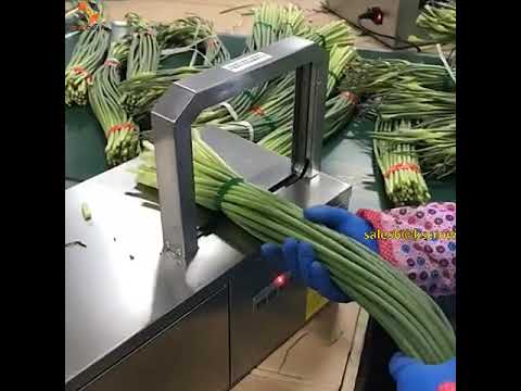 vegetable package used opp flim tape strapping machine