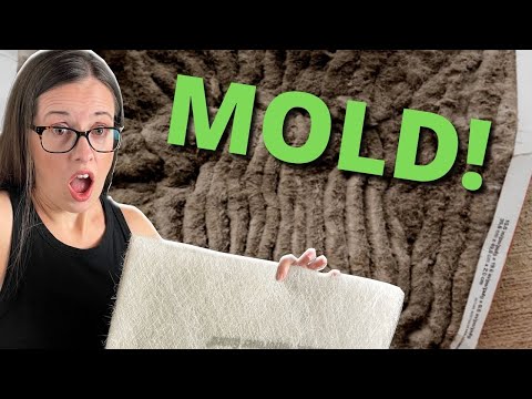 HVAC Questions and Answers: Mold On MY AC Filter!