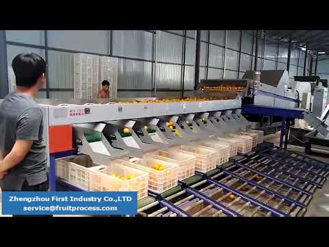 automatic sorting and weighing system, fruit weighing packing line