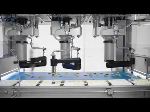 Picker line from Schubert for the fully automatic packaging of deep frozen food