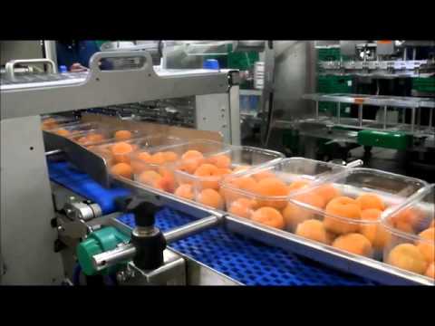 Apricot Packing Line - Packaging Automation High Speed Revolution Tray Sealing Machine