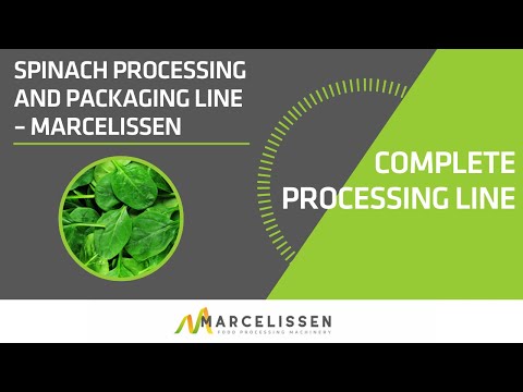 Spinach Processing and Packaging Line – Marcelissen