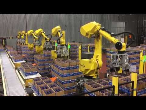 Automated Decasing System Uses Six FANUC Robots to Decase Bottles - StrongPoint Automation