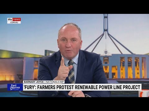 Barnaby Joyce unleashes on ‘dancing prancing’ Energy Minister Chris Bowen