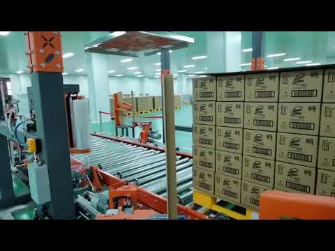 SMART WASP X1000 Rotary Arm fully automatic pallet wrapping machine