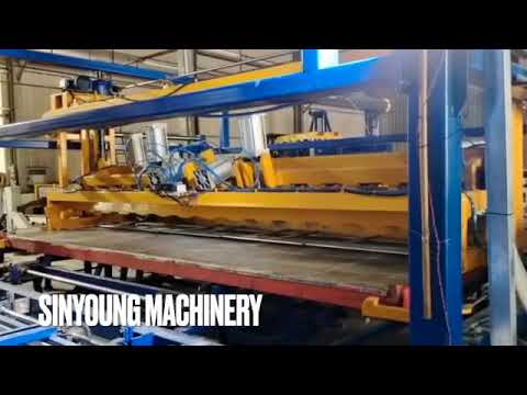 TSR20 automatic packing line demostration part 2