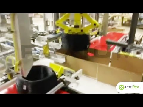 EndFlex robotic tray packing machine for wire spools