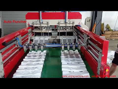 Full Automatic Double Line HDPE LDPE Polythene Biodegradable Plastic Bag Making Machine