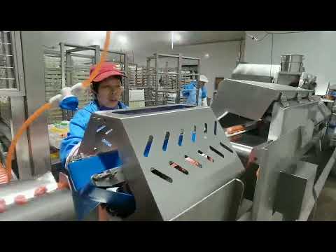 Automatic Packing Line for Sausage