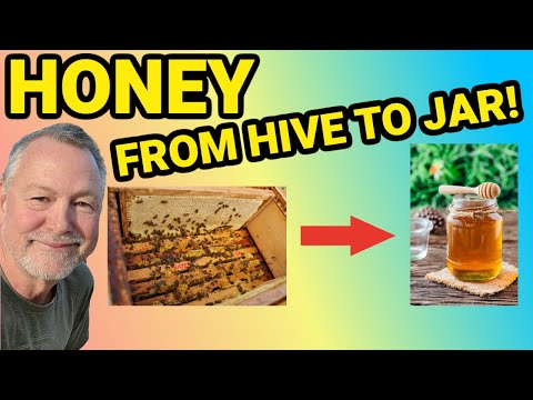 Beekeeping | The Incredible Process of Getting Honey From the Hive to Your Jar!