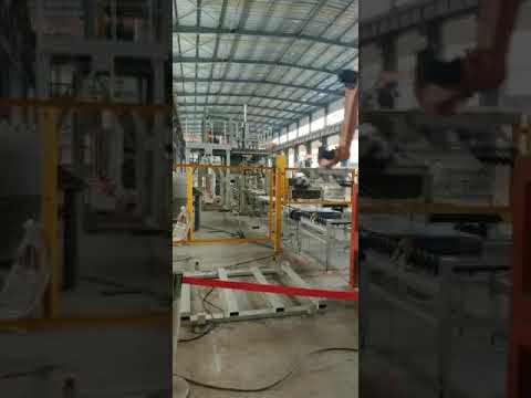 Fully automatic Robotic Palletizer/Robotic stacker/palletizing machine