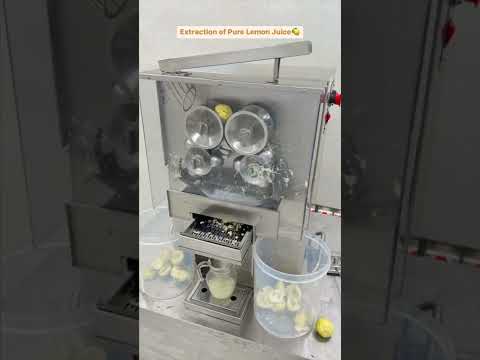 Lemon Juice Machine | Automatic Lime Juice Machine | Lemon Juice Packaging Business