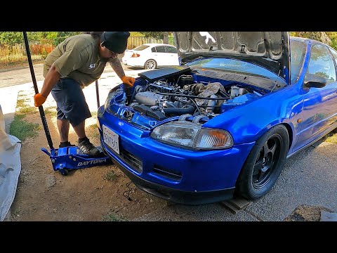 WHERE&#039;S MY VTEC ?! Tore Apart Blueberry&#039;s Valve train