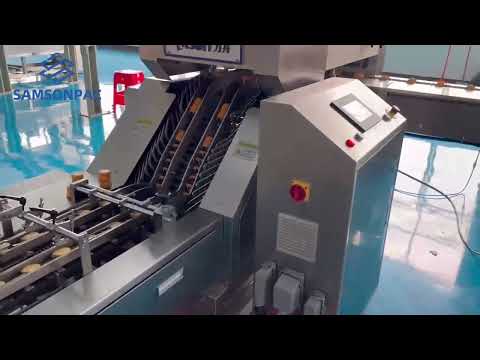 Fully Automatic High-Speed Sandwich Cookie Material Handling Trayless Packaging System-SAMSONPAC