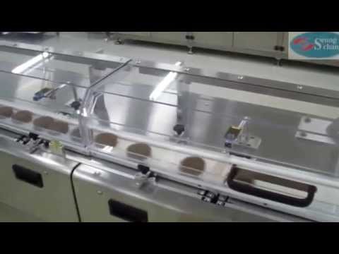 Automatic horizontal flow wrapping machine, HFFS (SCP-2500SH)