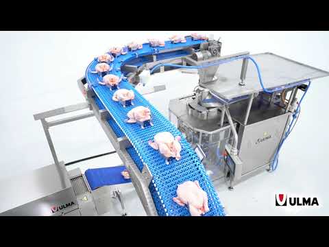 Tight-Chicken™: an innovative leak-proof and fully-hygienic packaging solution for whole chicken