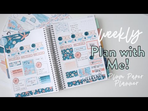 PLAN WITH ME! | PLUM PAPER VERTICAL PRIORITIES