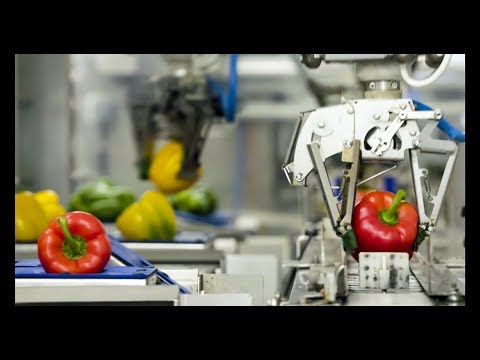 Robot-assisted packaging: 30% more productivity