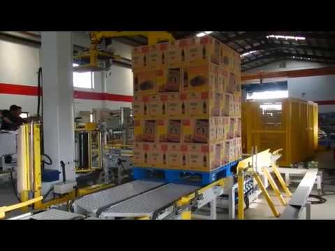 Robot Palletizer + Pallet Wrapping Machine