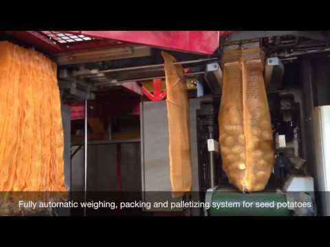 Fully automatic weighing, packing and palletizing line for seed potatoes