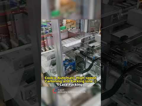 Cookie Automatic High speed Cartoning and Packing Line ③ Case Packing