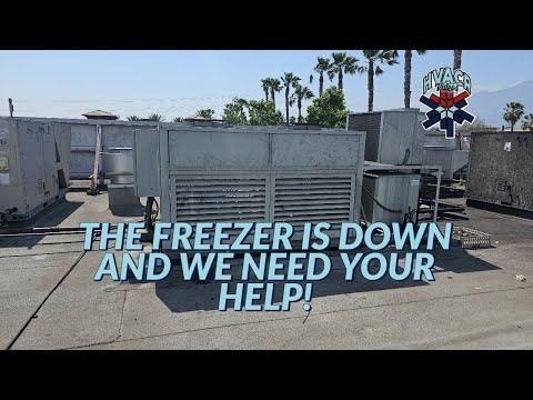 THE FREEZER IS DOWN AND WE NEED YOUR HELP!