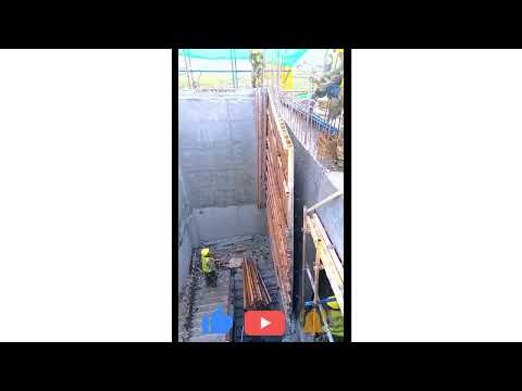 Wall mold removal process amazing video and satisfactory #shorts