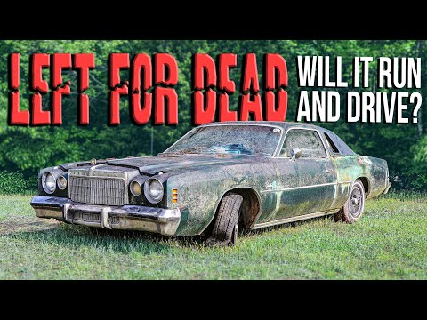 LEFT FOR DEAD CORDOBA - Will It RUN And DRIVE After Sitting Many Years?