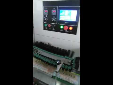 Horizontal Flow Wrapping Machine for Large Size