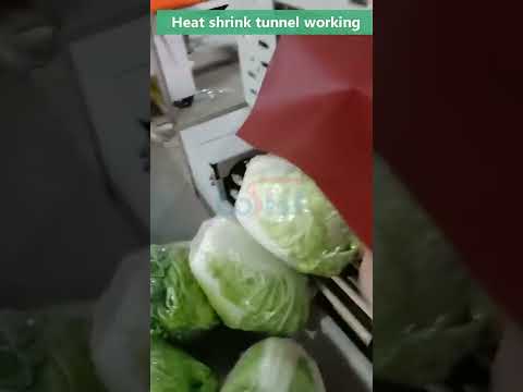 4020 vegetable packing machine shrink packing machine