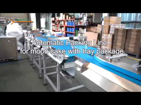 Foshan factory automatic packing line for mooncake packing with trays