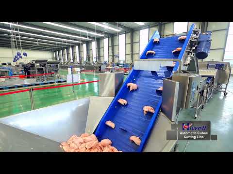 HIWELL--Automatic meat strips cubes cutting line