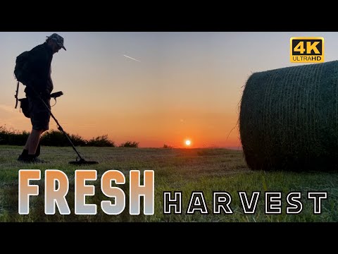 IT’S BEEN CUT!!! Amazing Evening Hunt On Fresh Cut Land | Metal Detecting